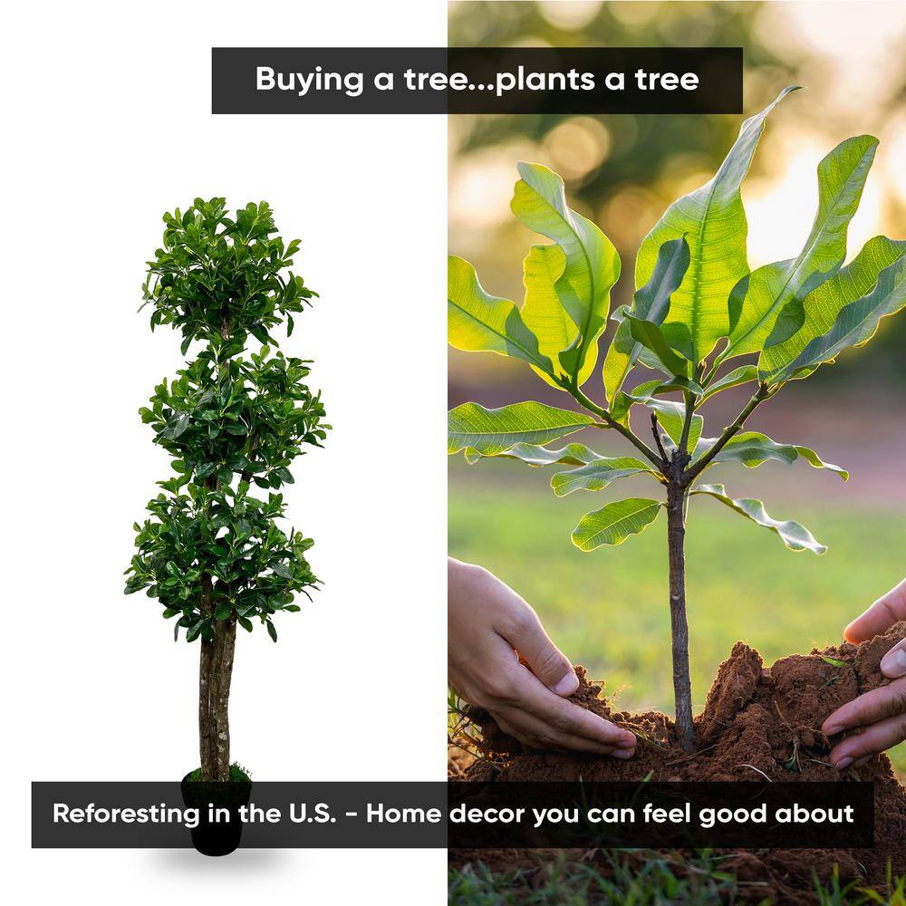 6' Artificial Bay Olive Triple Topiary Tree in Black Plastic Pot