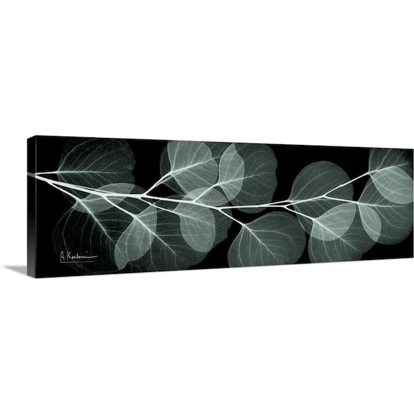 GreatBigCanvas "Eucalyptus Night II" by Albert Koetsier Canvas Wall Art