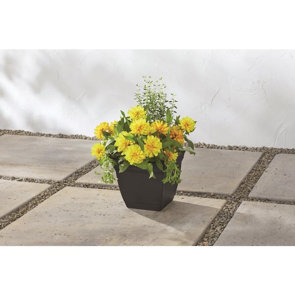 Mirabelle Small Black Plastic Square Planter with Drainage Hole and Attached Saucer (8 in. L x 8 in. W x 7.3 in. H)