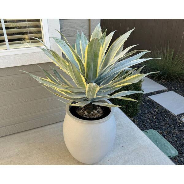 33 in Green Yellow Artificial Agave Shrub Indoor Outdoor Faux