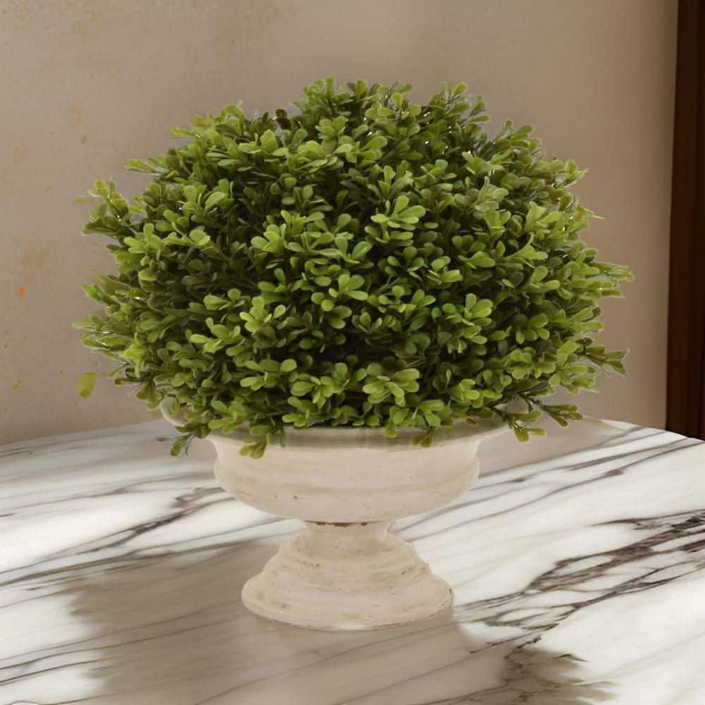 15-Inch Green Faux Boxwood Topiary Plant in Off-White Urn Pot