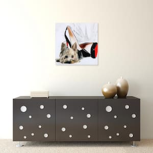 20 in. x 20 in. "Red Soles" by Jodi Pedri Frameless Free Floating Tempered Glass Panel Graphic Wall Art