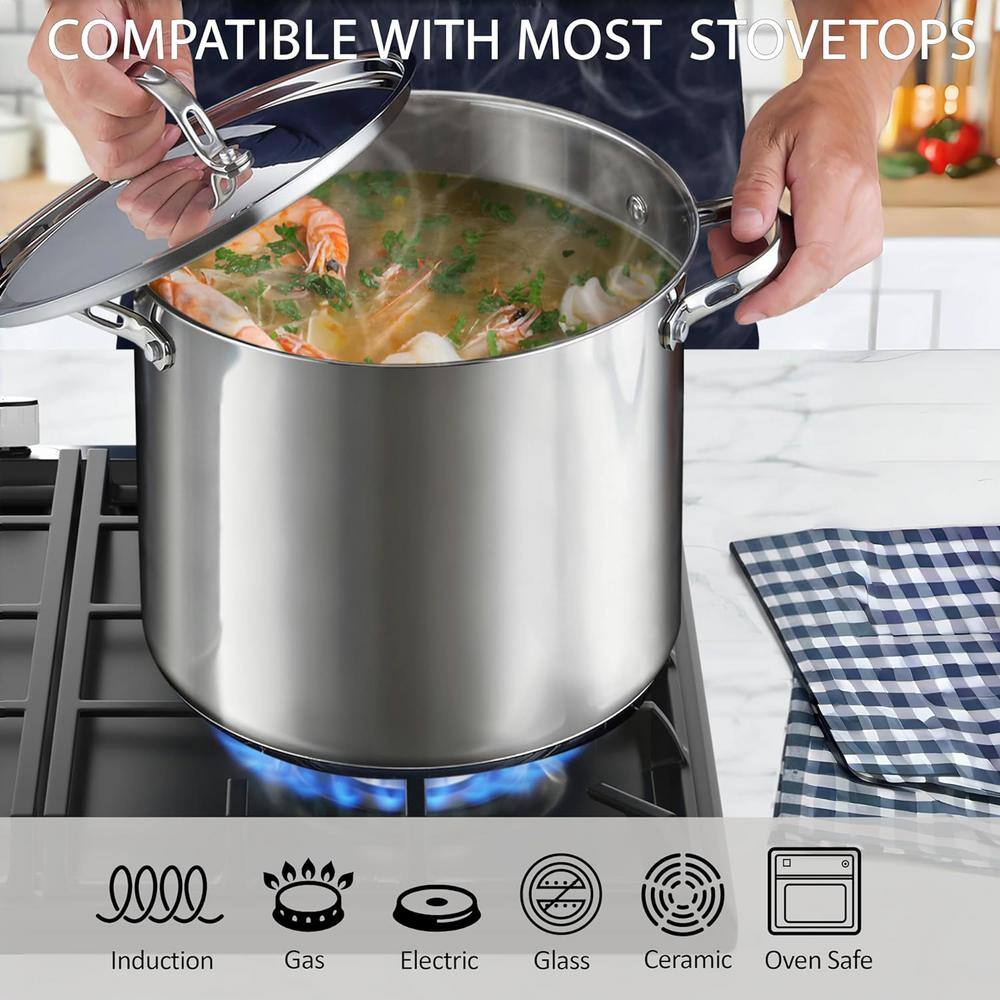 12-Quart Silver Stainless Steel Stockpot with Lid