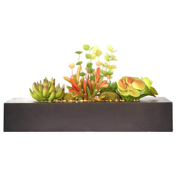 Laura Ashley 8 in. Tall Succulents Artificial Indoor/ Outdoor Faux Dcor in Wooden Planter