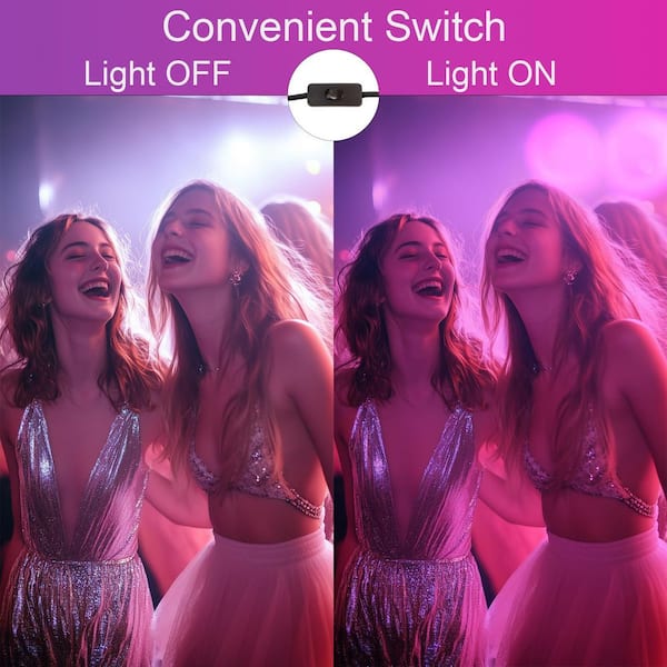 40W Black Finish Plug-In Integrated LED Blacklight Landscape Flood Light for Glow Party, Stage and Body Paint, (2-Pack)