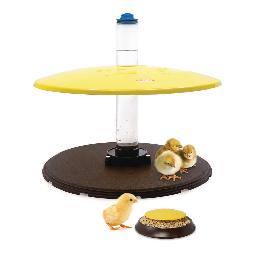 Cozy Products Brooder Habitat Plus Chick Heater 36-Watts Safer Than ...