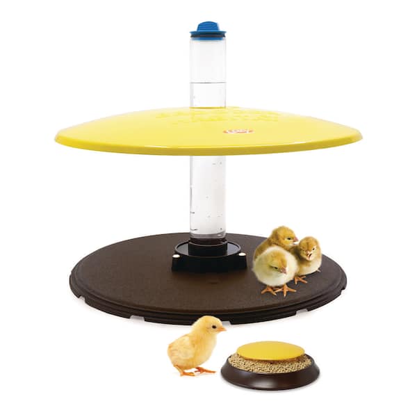 Cozy Products Brooder Habitat Plus Chick Heater 36-Watts Safer Than Brooder Lamps