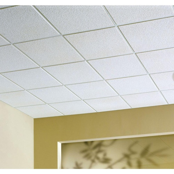 Usg Ceilings 2 Ft X Alpine White, Acoustic Drop Ceiling Tiles Home Depot