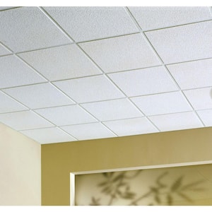 2 ft. x 2 ft. Alpine White Shadowline Tapered Edge Lay-In Ceiling Tile, case of 4 (16 sq. ft.)