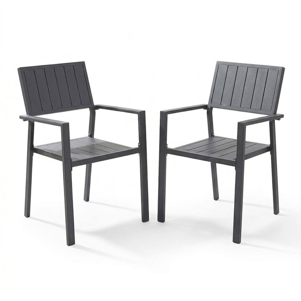 Black Metal Patio Dining Chair for Garden (Set of 2) price history on PriceWatchPro