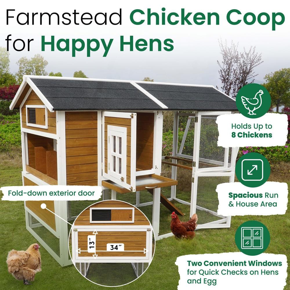 Large White and Brown Wooden Chicken Coop with Asphalt Roof