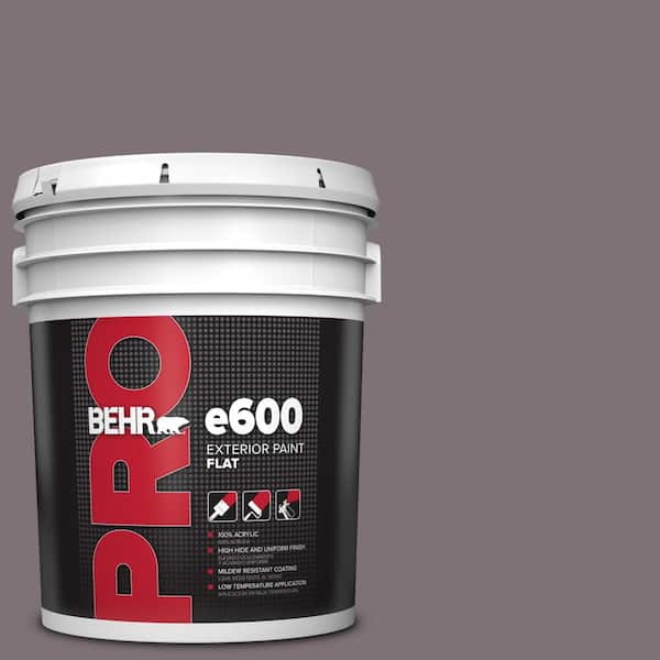 BEHR PRO 5 gal. #BNC-30 Enigmatic Flat Exterior Paint