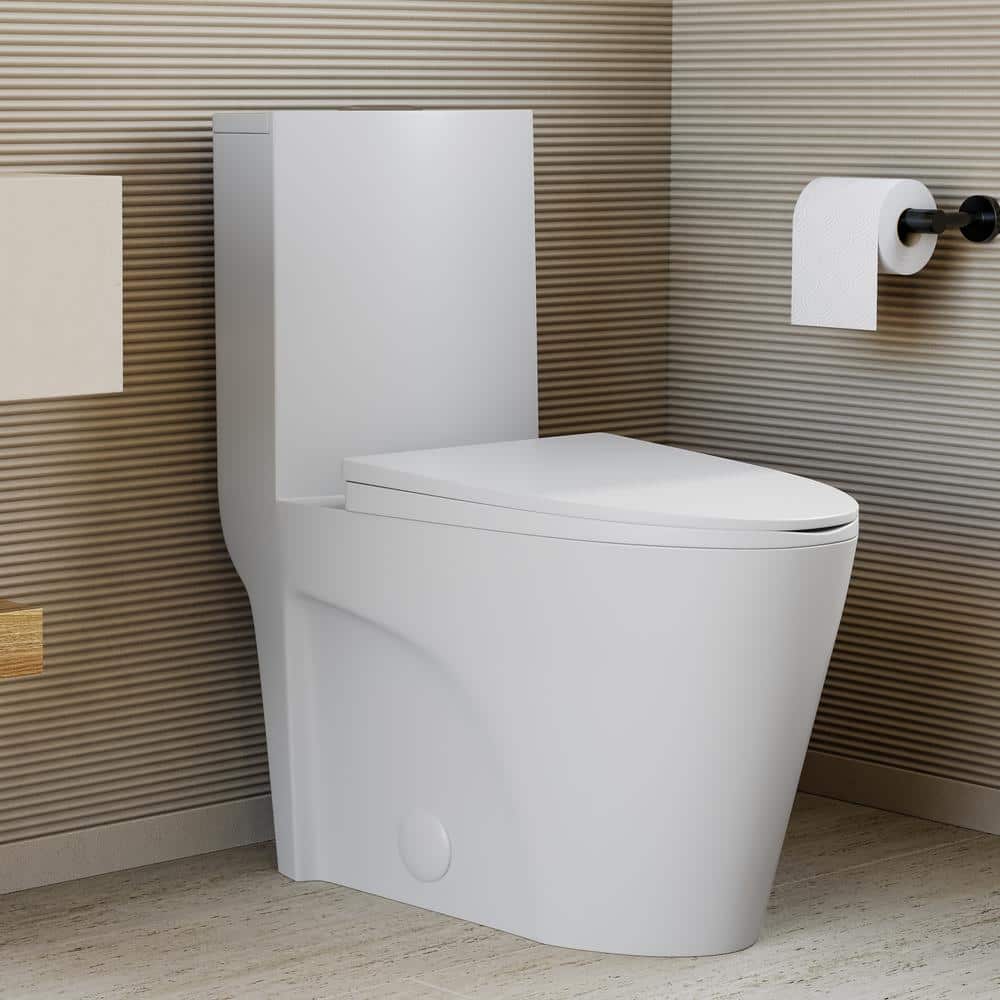 Matte White One-Piece Elongated Dual-Flush Toilet