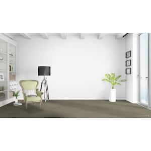 West Springs  - Truffle - Beige 28 oz. SD Polyester Pattern Installed Carpet