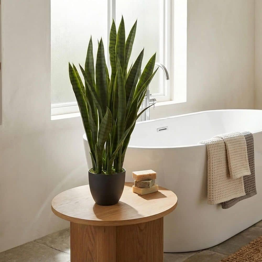 Nearly Natural Artificial Sansevieria with Black Planter