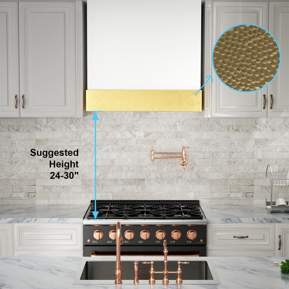 White and Gold Stainless Steel Wall Mounted Range Hood