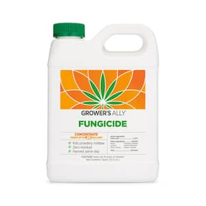 Dr Earth 32 Oz Ready To Spray Disease Control Fungicide 100507058 The Home Depot