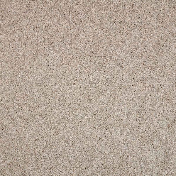 Lifeproof Superiority II  - Gobi Desert - Brown 60 oz. Triexta Texture Installed Carpet