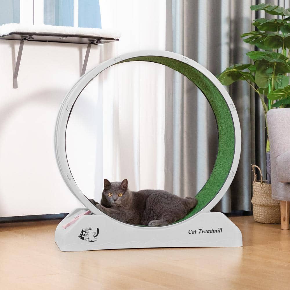 Gray and Green Freestanding Plastic Cat Exercise Wheel