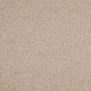 Lanwick  - Southwest - Brown 19 oz. Polyester Pattern Installed Carpet
