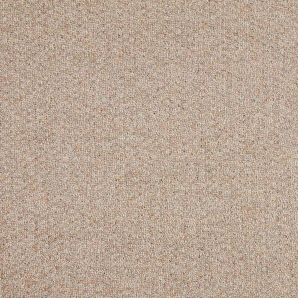 TrafficMaster Lanwick  - Southwest - Brown 19 oz. Polyester Pattern Installed Carpet