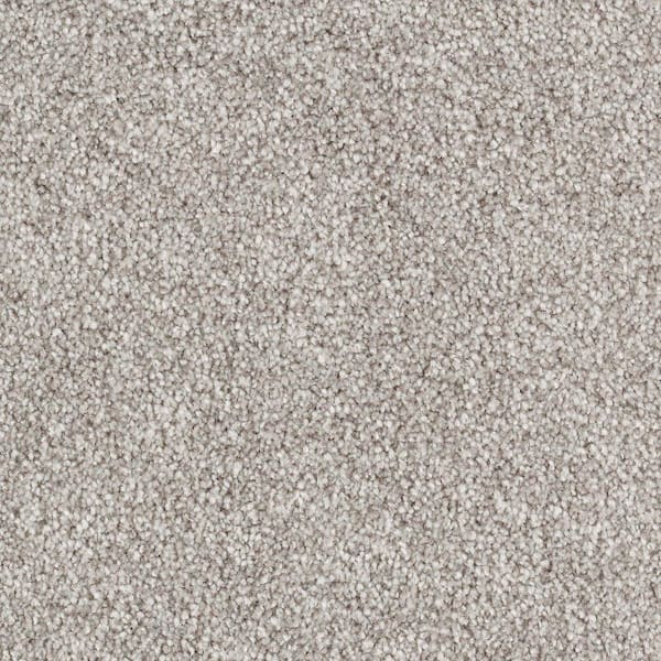 Lifeproof with Petproof Technology 8 in. x 8 in. Texture Carpet Sample - Silver Mane II -Color Keystone