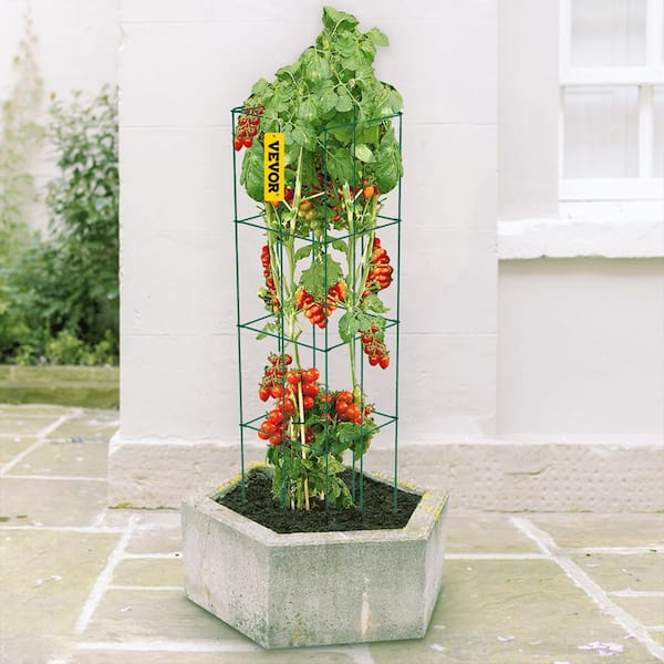 14.6 in. x 14.6 in. x 39.4 in. Tomato Cages for Garden Square Plant Support Cages Green Steel Tomato Towers (6-Pack)