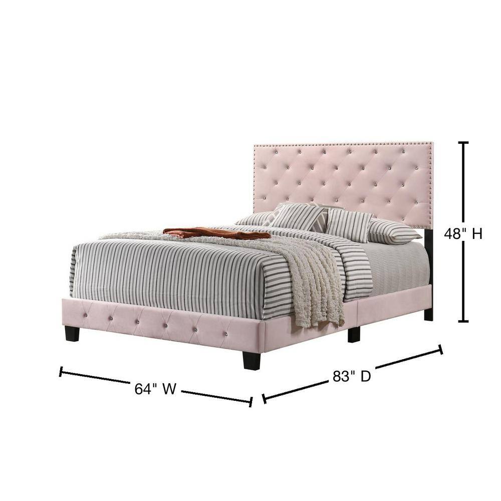 Suffolk Pink Velvet Upholstered Queen Panel Bed with Nailhead Trim