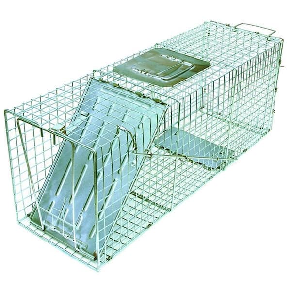 JT Eaton Answer Single Door Live Animal Cage Trap for Medium Size Pests  Steel Wire 465N - The Home Depot