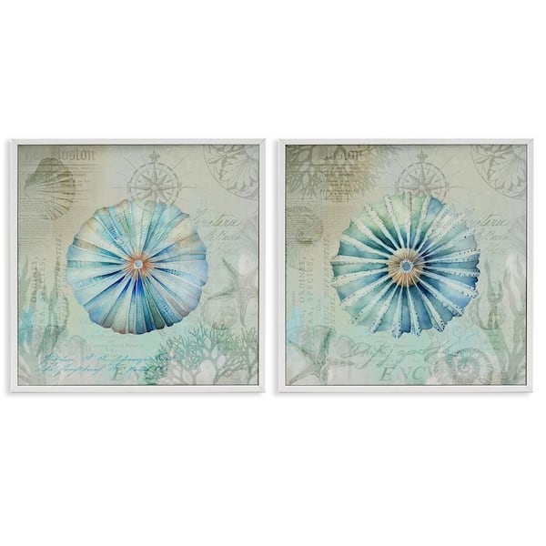 Stupell Industries Vintage Blue Sea Urchins by Andrea Haase 2 Pieces White Framed Coastal Giclee Art Print 24 in. x 24 in.
