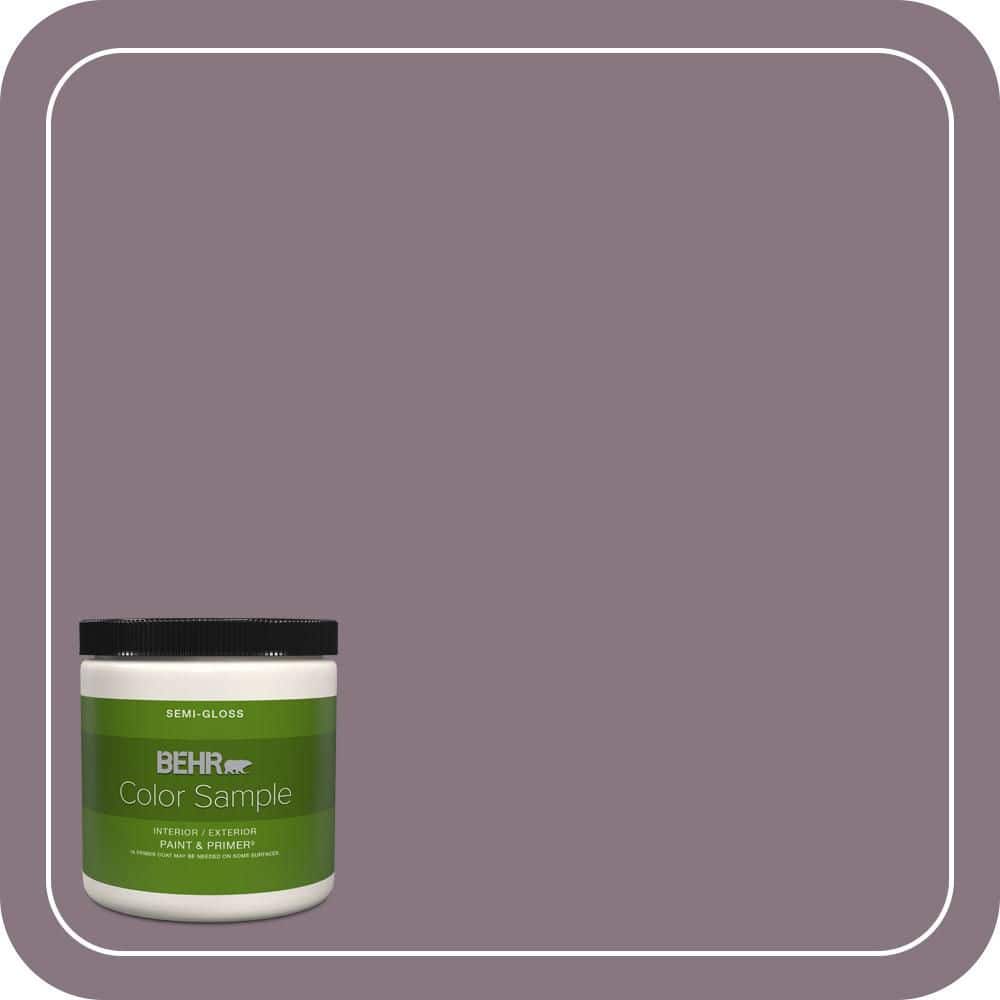 8 oz. #ECC-18-3 Blooming Wisteria Semi-Gloss Interior/Exterior Paint & Primer Color Sample price history on PriceWatchPro