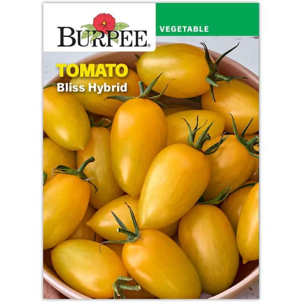 Burpee Garden Tomato Bliss Hybrid Vegetable Seed