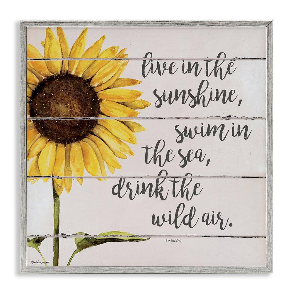 Stupell Industries Live In Sunshine Drink Wild Air by Stephanie Workman ...