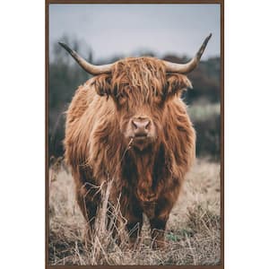 "Hairy Coos" by Marmont Hill Floater Framed Canvas Animal Art Print 60 in. x 40 in.