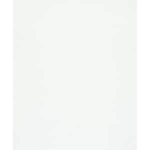 Flora Collection White Plain Texture Matte Finish Non-Pasted Vinyl on Non-Woven Wallpaper Roll