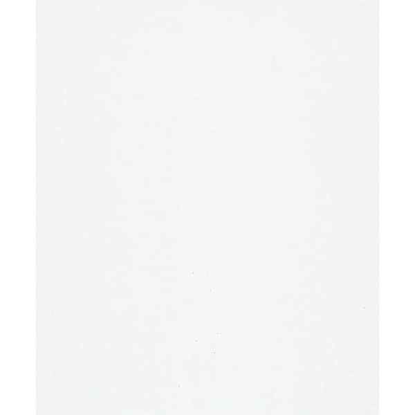 Unbranded Flora Collection White Plain Texture Matte Finish Non-Pasted Vinyl on Non-Woven Wallpaper Roll