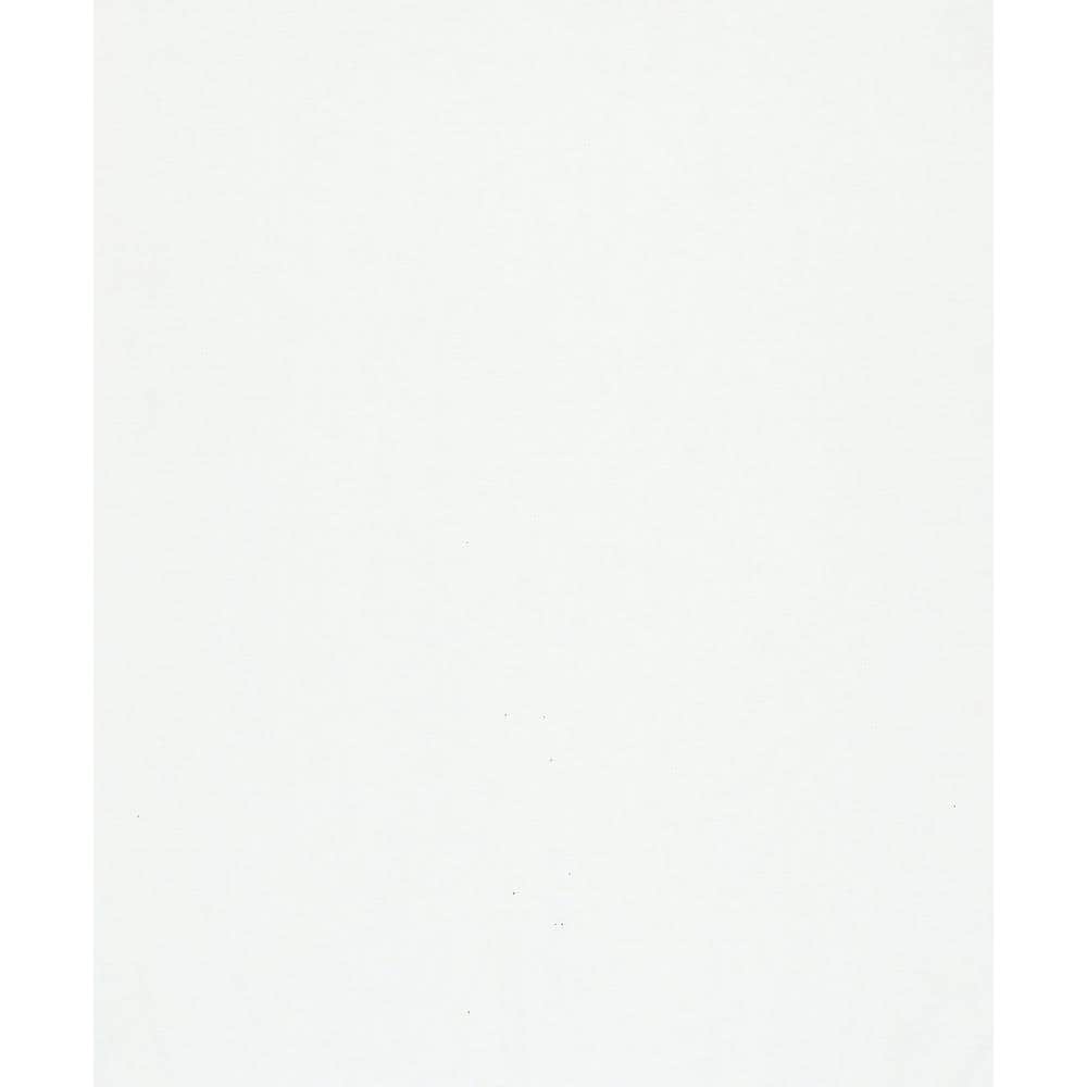 Flora Collection White Plain Texture Matte Finish Non-Pasted Vinyl on Non-W