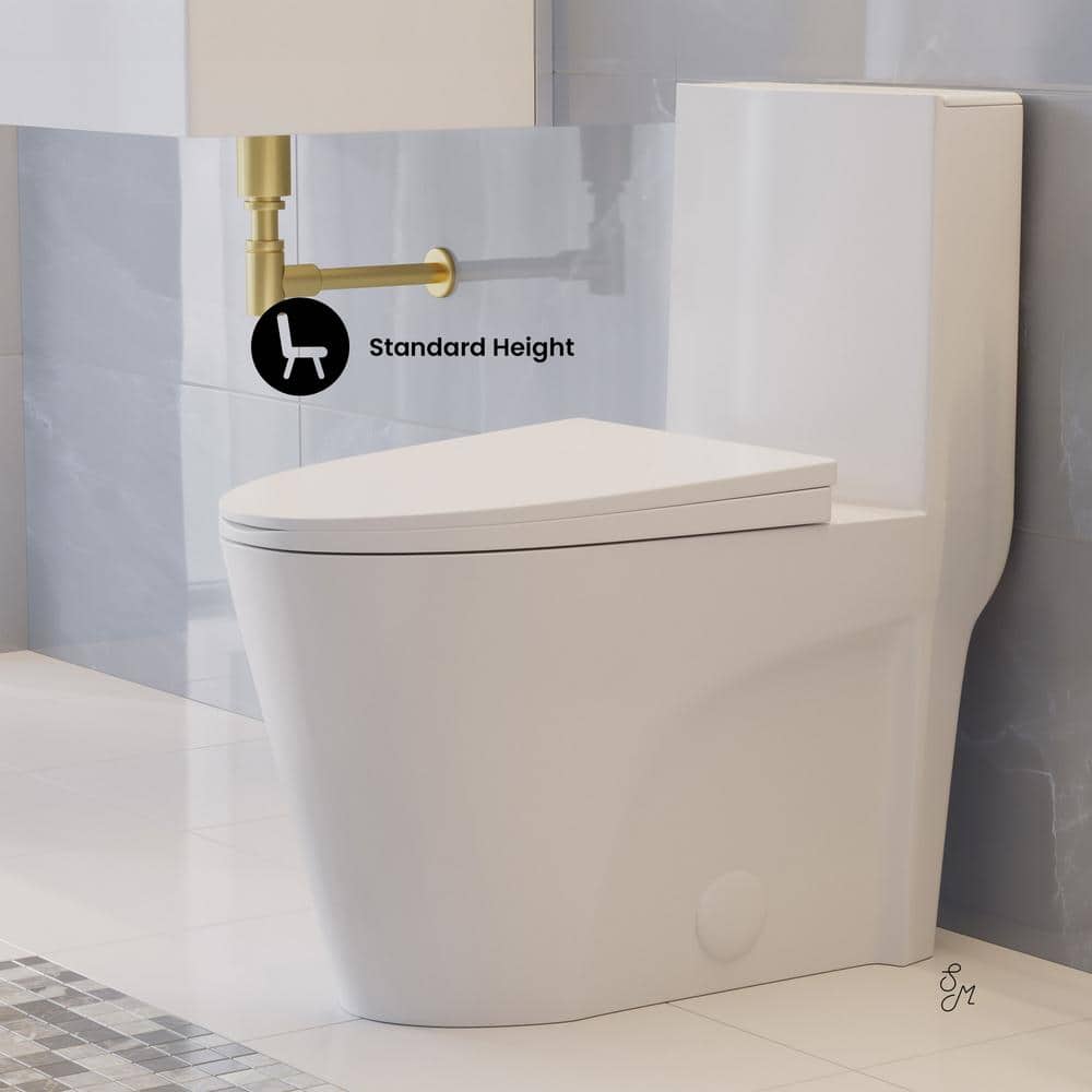 White Glossy One-Piece Elongated Dual Flush Toilet