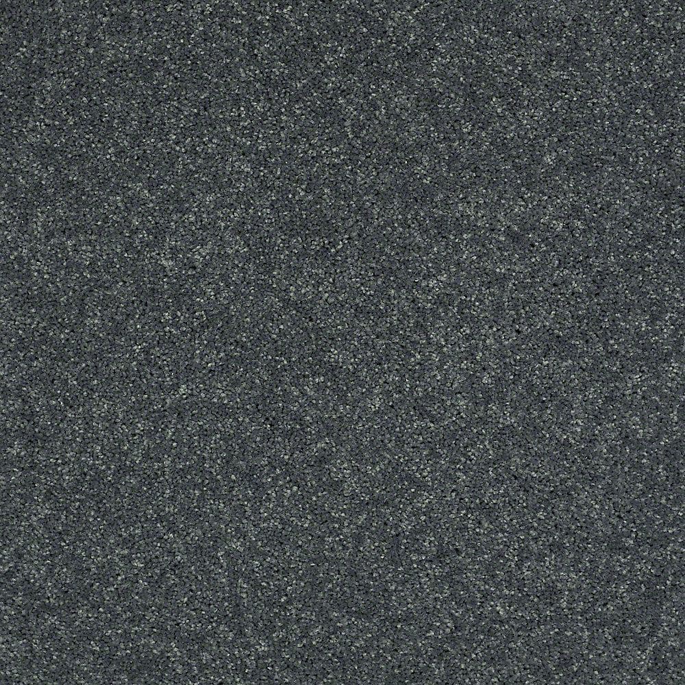 8 in. x 8 in. Texture Carpet Sample - Brave Soul II - Color Lucerne price history on PriceWatchPro