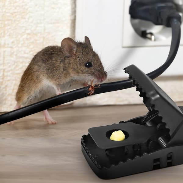 6-Pack of Effective Reusable Mousetraps with Unique Jaw Design to Capture Indoor rodents
