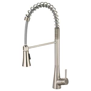 i2 Single-Handle Pull-Down Sprayer Kitchen Faucet with Pre-Rinse Sprayer in Brushed Nickel
