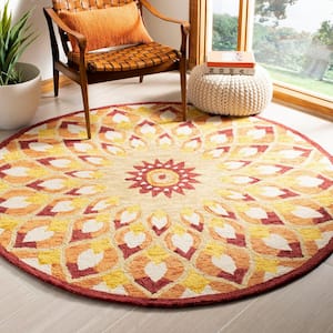 Novelty Rust/Gold 4 ft. x 4 ft. Round Border Area Rug