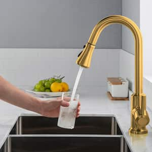 Ruth Single-Handle Pull-Down Sprayer Kitchen Faucet with Dual Function Sprayhead in Brushed Gold