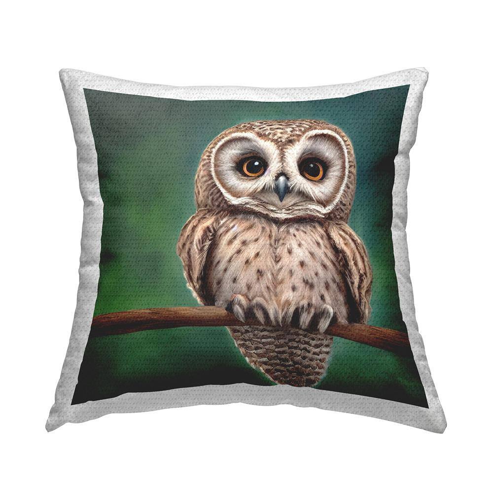 Owl Gazing Perched Branch Green Square Outdoor Throw Pillow price history on PriceWatchPro