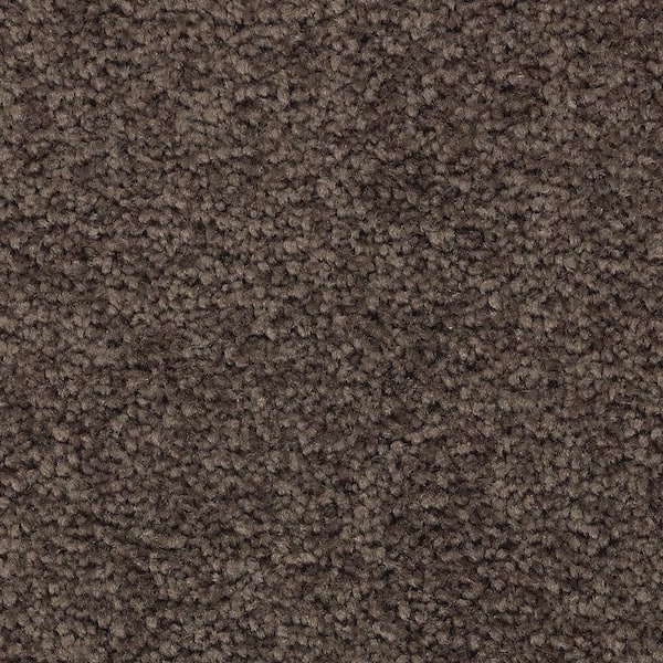 Lifeproof Unblemished II  - Steeple - Brown 55 oz. Triexta Texture Installed Carpet