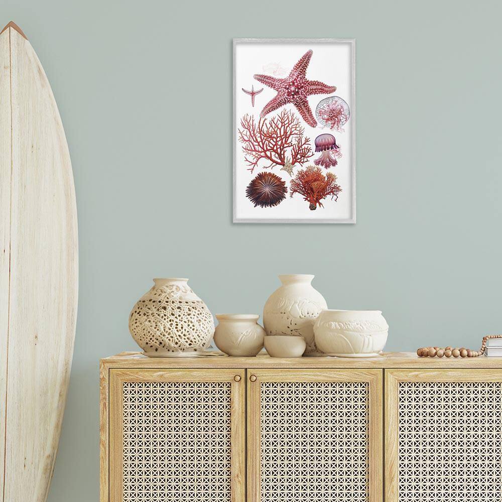 Rosy Undersea Creatures by Ramona Murdock Gray Framed Animal Giclee Art Print 24 in. x 16 in. price history on PriceWatchPro