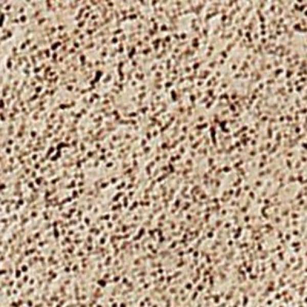 Pavestone Edgestone 12 in. x 3.5 in. x 3.5 in. San Diego Tan Pavestone Edgestone 12 in. x 3.5 in. x 3.5 in. San Diego Tan