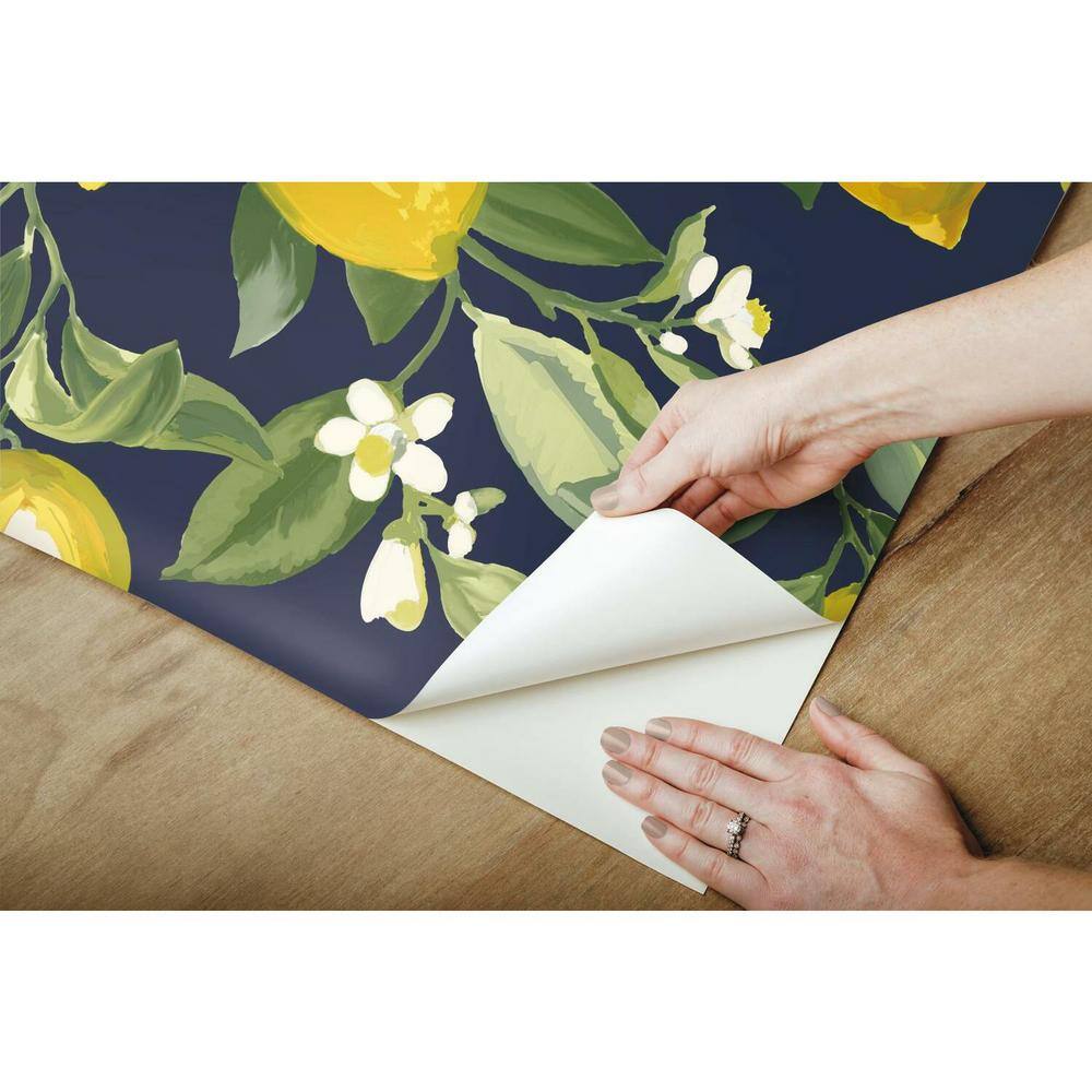 Gold Grasscloth Removable Washable Wallpaper, 36" x 288"