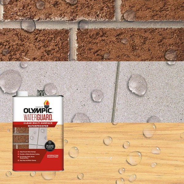 Waterguard 1 gal. Clear Multi-Surface Waterproofing Sealer