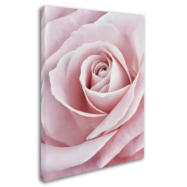 Dusty Rose Cluster – surprise someone special with a canvas print –  Photowall